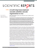Cover page: A multi-step transcriptional cascade underlies vascular regeneration in vivo