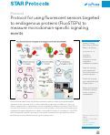 Cover page: Protocol for using fluorescent sensors targeted to endogenous proteins (FluoSTEPs) to measure microdomain-specific signaling events.