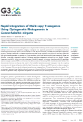 Cover page: Rapid Integration of Multi-copy Transgenes Using Optogenetic Mutagenesis in Caenorhabditis elegans