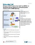 Cover page: Release of SR Proteins from CLK1 by SRPK1: A Symbiotic Kinase System for Phosphorylation Control of Pre-mRNA Splicing.