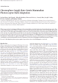 Cover page: Chromophore supply rate-limits mammalian photoreceptor dark adaptation.