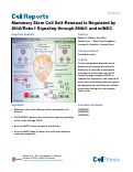 Cover page: Mammary Stem Cell Self-Renewal Is Regulated by Slit2/Robo1 Signaling through SNAI1 and mINSC