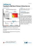 Cover page: Targeting the DNA Repair Pathway in Ewing Sarcoma