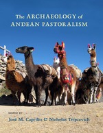 Cover page: The Ethnoarchaeology of a Cotahuasi Salt Caravan: Exploring Andean Pastoralist Movement