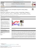 Cover page: Microplastic ingestion from atmospheric deposition during dining/drinking activities