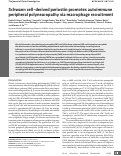 Cover page: Schwann cell–derived periostin promotes autoimmune peripheral polyneuropathy via macrophage recruitment