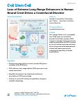 Cover page: Loss of Extreme Long-Range Enhancers in Human Neural Crest Drives a Craniofacial Disorder