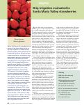 Cover page: Drip irrigation evaluated in Santa Maria Valley strawberries