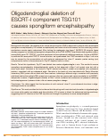 Cover page: Oligodendroglial deletion of ESCRT‐I component TSG101 causes spongiform encephalopathy