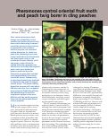 Cover page: Pheromones control oriental fruit moth and peach twig borer in cling peaches