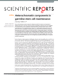 Cover page: Heterochromatin components in germline stem cell maintenance